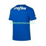 Maillot/Tenue Palmeiras Gardien Domicile 2023/2024